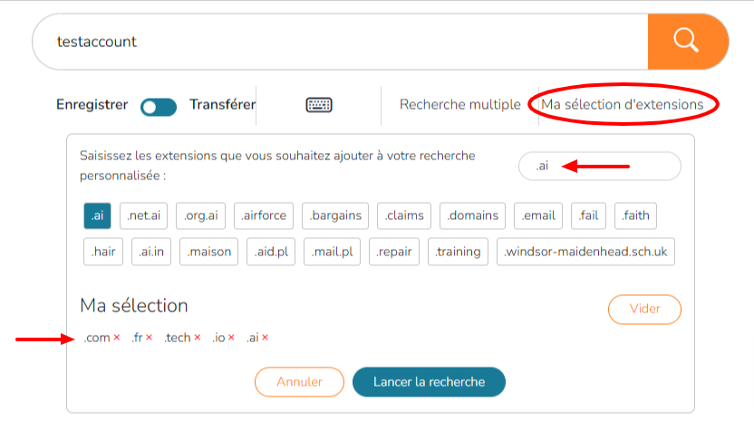 Recherche personalisée par extensions