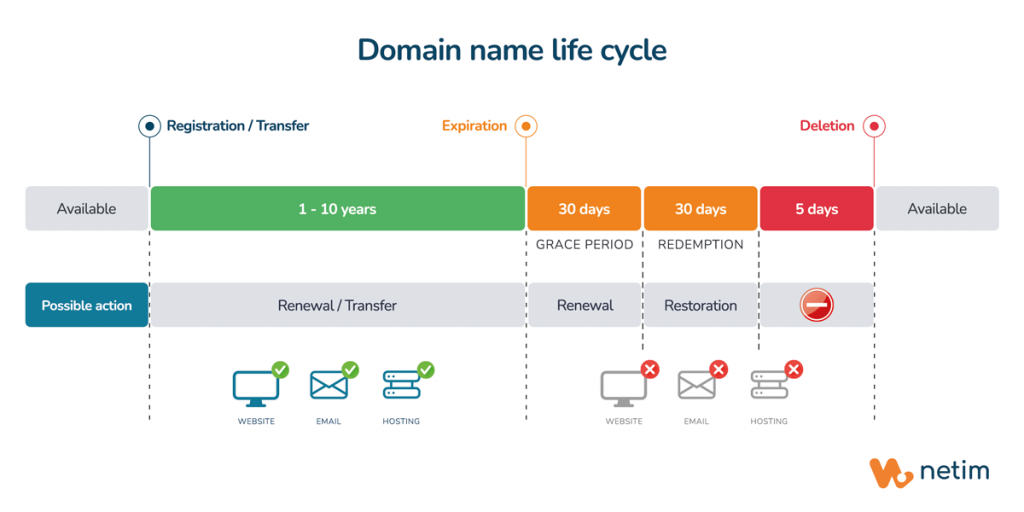 The life cycle of a domain name