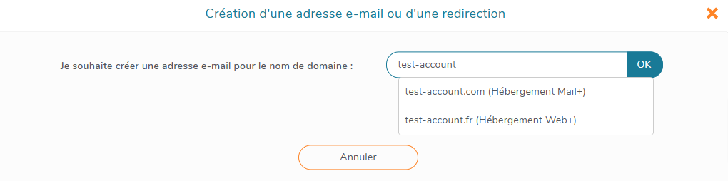 Créer un email de redirection - Choisir son domaine